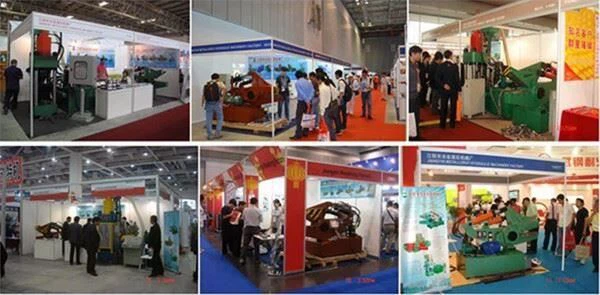 20210611104659b96daccf05eb426e9557d10d70a92828